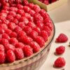 Frudeco – Aug ’26 – 101