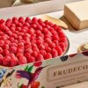 Frudeco – Aug ’26 – 107