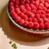 Frudeco – Aug ’26 – 120