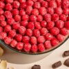 Frudeco – Aug ’26 – 96