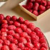 Frudeco – Aug ’26 – 98