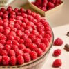 Frudeco – Aug ’26 – 99